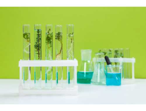 武清区供卵医院不用排队？如何快速匹配优质卵妹